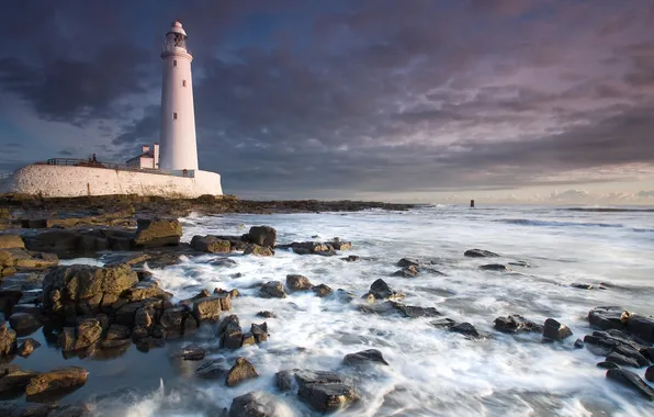 Picture sea, the sky, landscape, night, lighthouse