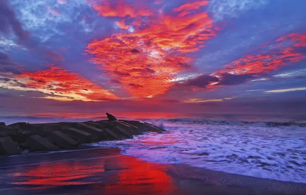 Sea, wave, beach, sunset, red, clouds