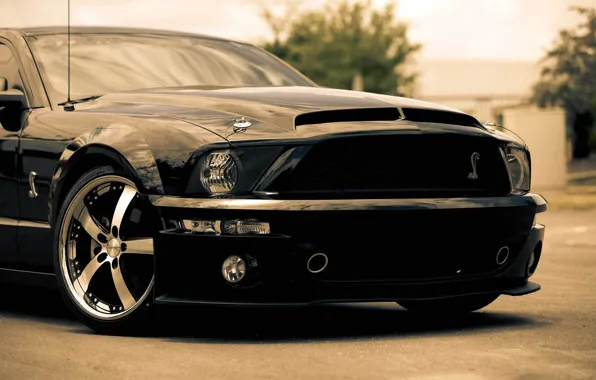 Picture black, Mustang, Ford, Shelby, GT500, Mustang, muscle car, black