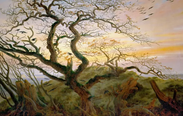 Landscape, birds, picture, Caspar David Friedrich, Tree with Crows