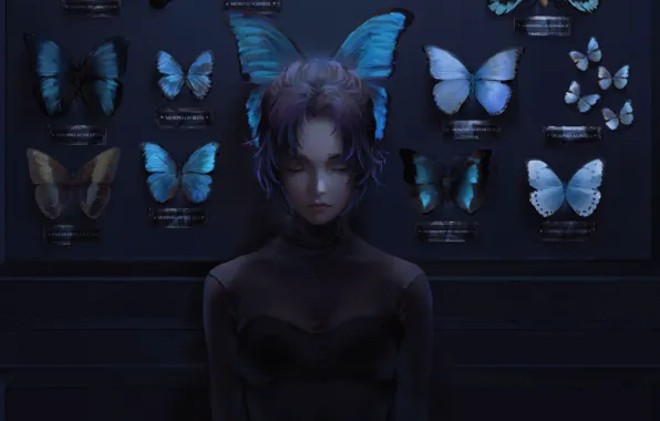Butterfly, loneliness, collection, closed eyes, in the dark, black clothes, the blade cleaves demons, Kochou …