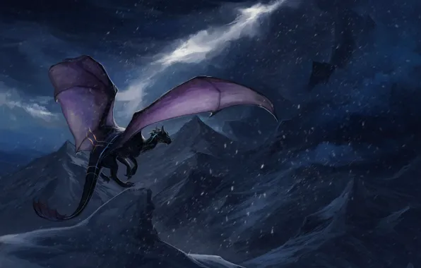 Night, the wind, dragon