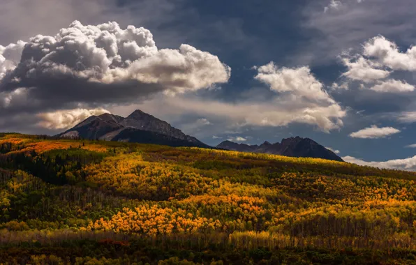 Picture autumn, forest, the sky, clouds, trees, mountains, view, Golden autumn