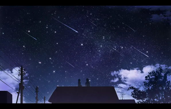 Girl, night, home, art, guy, Starfall, The reki