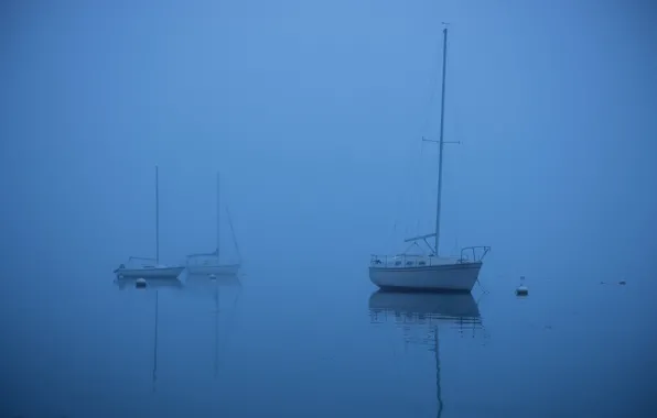 Sea, fog, boat, yacht