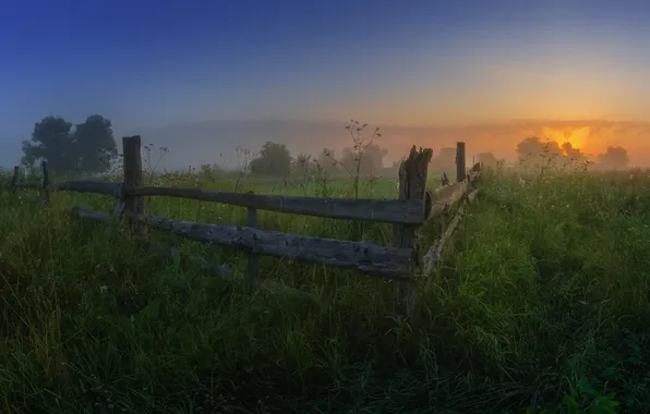 Morning, village, Vitaly Levykin