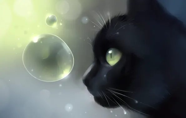Picture cat, cat, bubbles, black, head, art, profile, Apofiss
