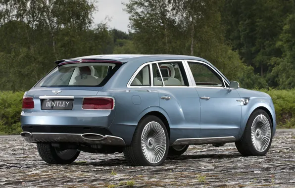 Picture road, Concept, trees, Bentley, jeep, rear view, crossover, Bentley.The concept, EXP 9 F