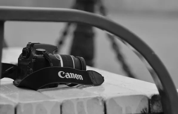 Picture bench, the camera, Canon