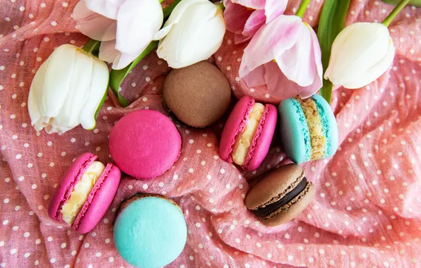Picture colorful, tulips, pink, tulips, macaroons, macaron, macaroon