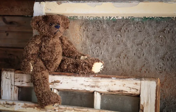 Glass, childhood, background, pattern, toy, frame, bear, window
