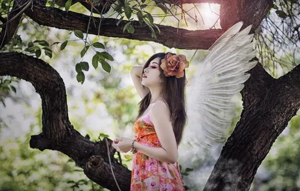 Picture girl, angel, Asian
