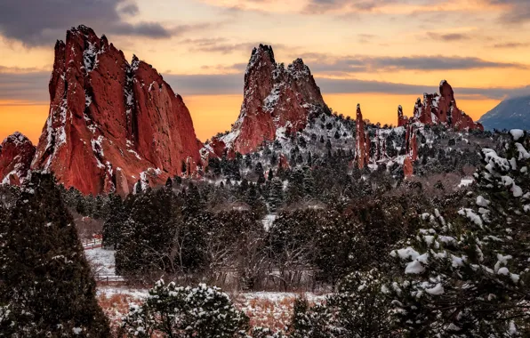 Winter, snow, trees, mountains, branches, rocks, tops, pine