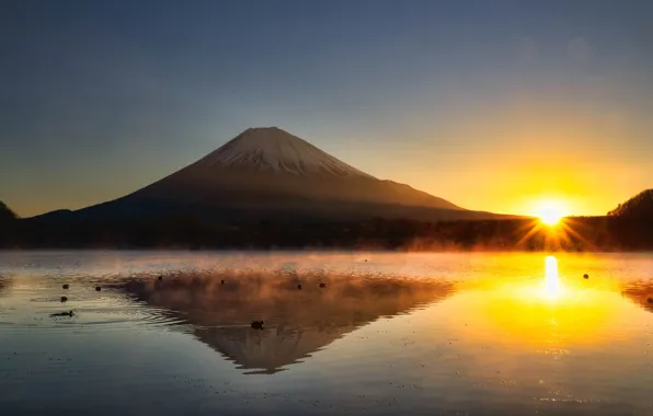 The sky, the sun, light, landscape, mountains, birds, glare, reflection