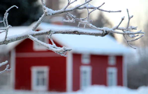 Winter, snow, landscape, nature, house, tree