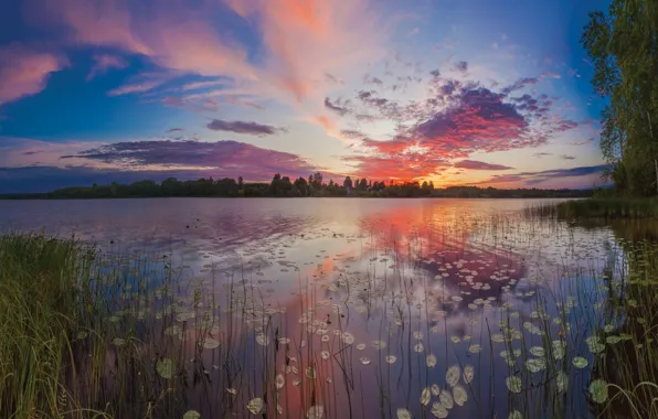 Landscape, nature, lake, dawn