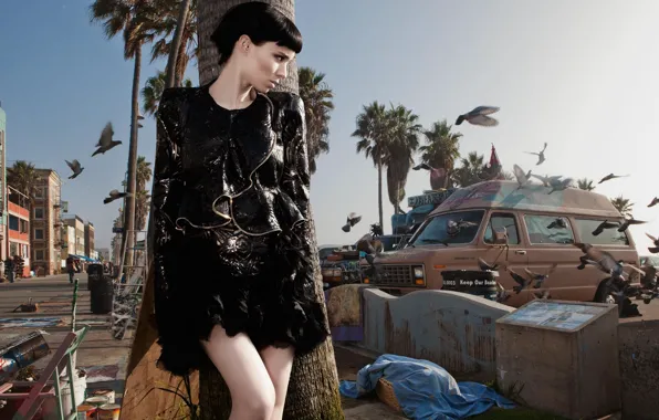 Palm trees, dress, actress, brunette, hairstyle, pigeons, journal, photoshoot