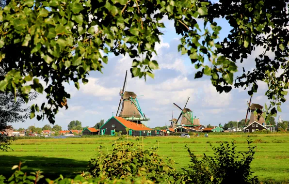 Picture grass, trees, house, Netherlands, windmill, The Zaanse Schans, Zaanstad