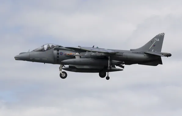 Picture pilot, attack, the rise, Harrier II, AV-8B, "Harrier" II