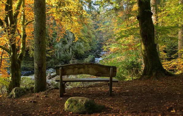 Picture Autumn, Scotland, Hermitage