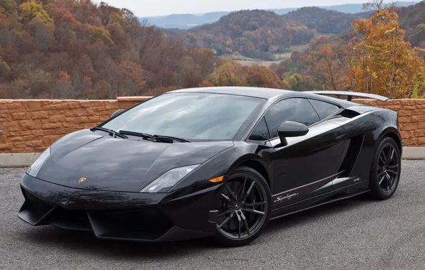 Picture the sky, trees, landscape, Lamborghini, the fence, black, gallardo, black