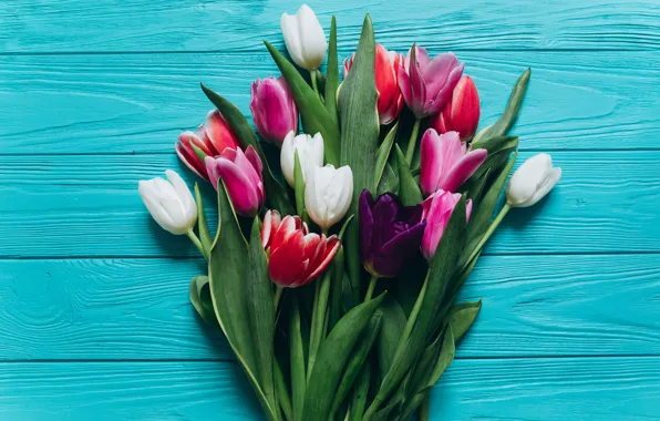Picture flowers, bouquet, colorful, tulips, pink, white, white, fresh