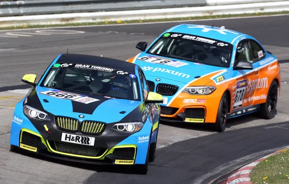 BMW, GTE, (E89)