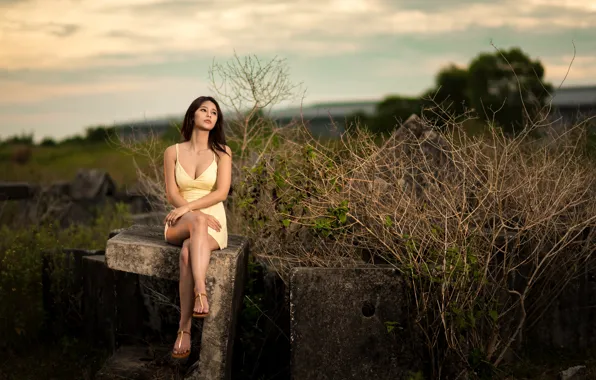 Girl, legs, Asian, sitting, bokeh, dress