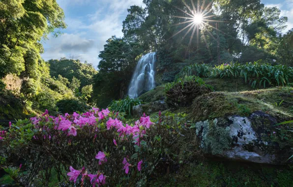 Nature, Paradise, waterfall