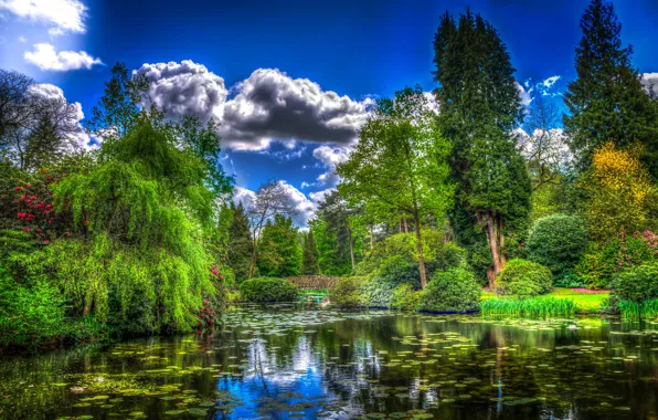 Grass, clouds, trees, pond, Park, England, treatment, garden