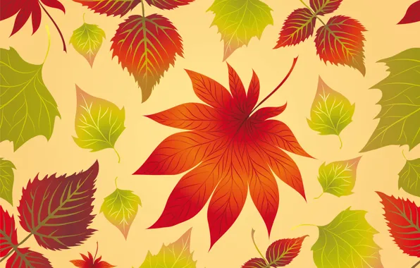 Picture leaves, background, autumn, leaves, autumn, maple