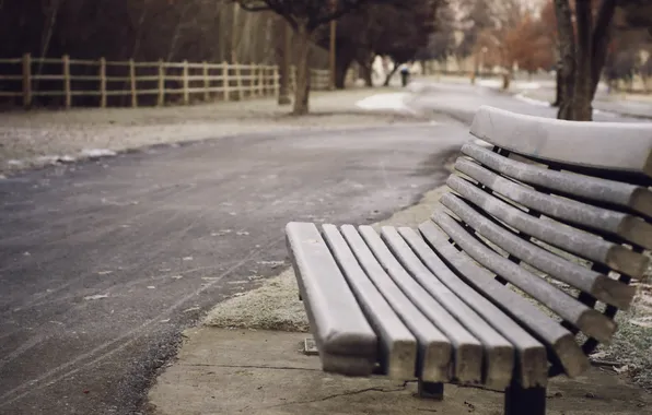 Winter, walk, bench