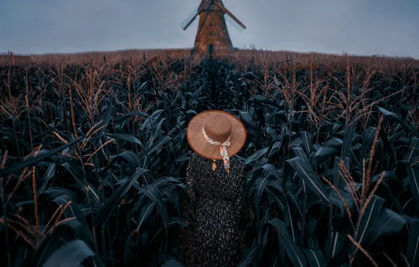 Field, summer, girl, back, hat, corn, dress, walk