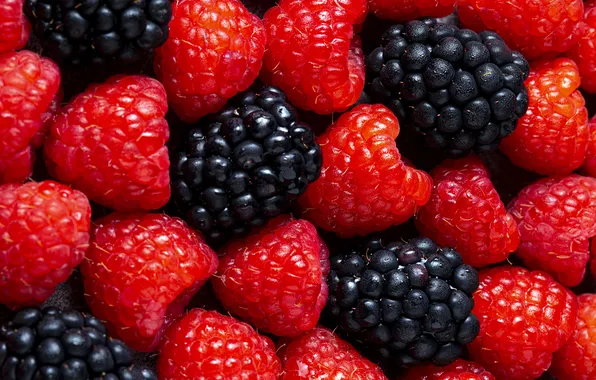 Drops, macro, berries, raspberry, a lot, different, BlackBerry, juicy