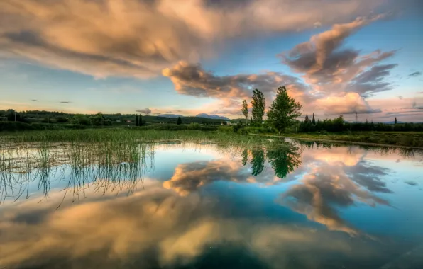 Picture the sky, water, clouds, reflection, trees, lake, spring