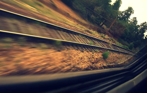 Picture road, forest, rails, train, speed, window, sleepers