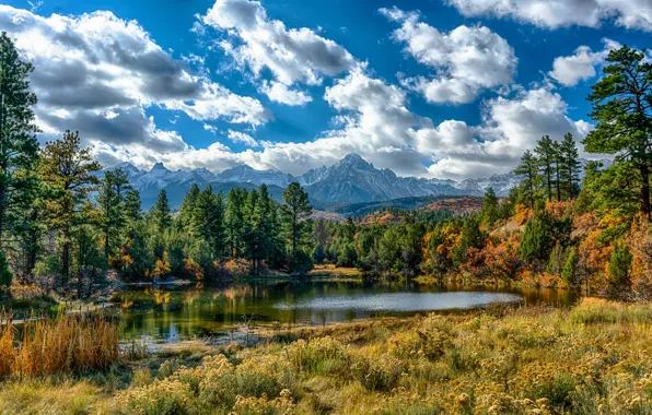 Picture forest, the sky, grass, the sun, clouds, trees, mountains, lake