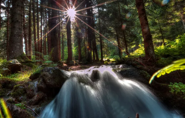 Picture forest, trees, stones, waterfall, the rays of the sun
