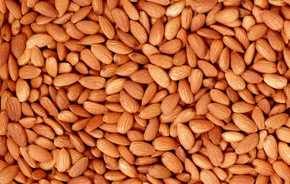 Picture texture, walnut, almonds