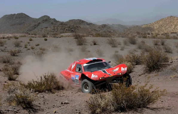 Picture red, movement, desert, rally, rally, shrub, Buggy, Fast&Speed