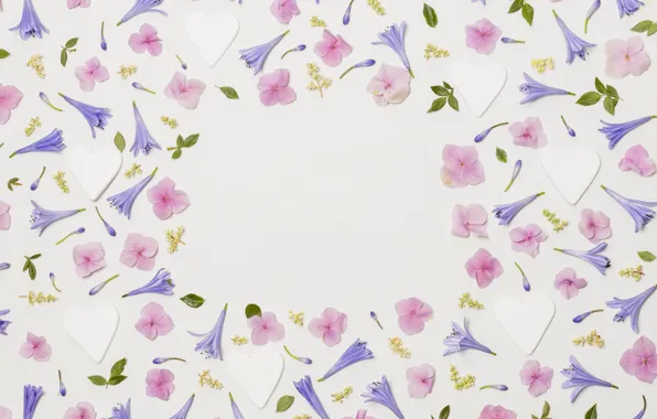 Flowers, White, colorful, Purple, buds, composition