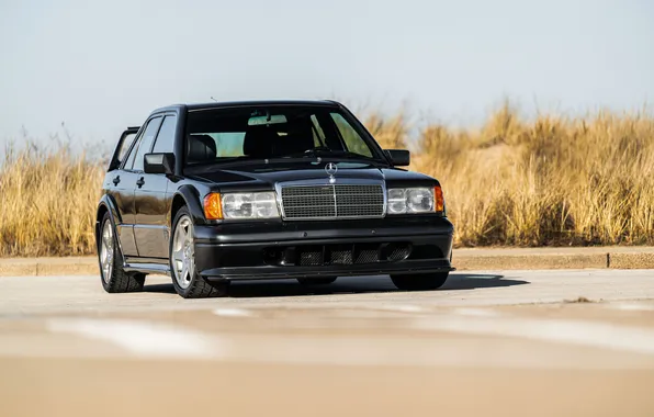 Picture Mercedes-Benz, Mercedes, 1990, 190, Mercedes-Benz 190 E 2.5-16 Evolution II