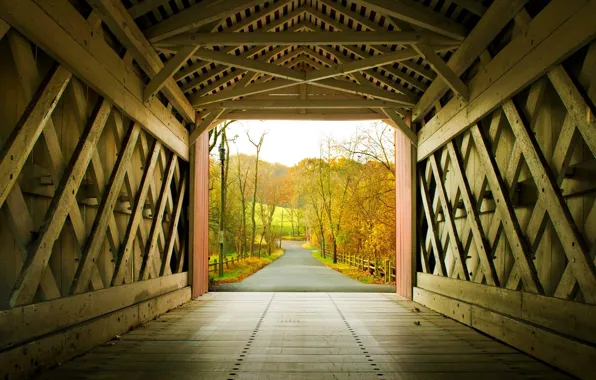 Autumn, bridge, USA, the tunnel, Delaware, New Castle County