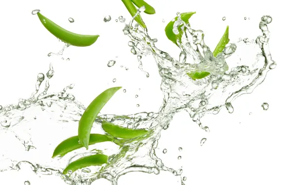 Picture water, drops, squirt, freshness, water, green, drops, vegetable