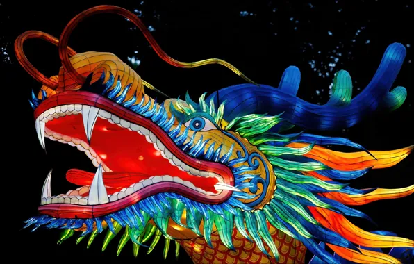Dragon, art, ART, Fantasy, fantasy, painting, dragon, paiting