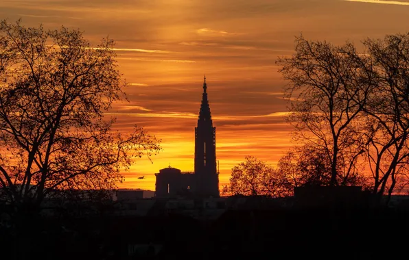 The sky, trees, France, tower, home, glow, the plane, silhouettes