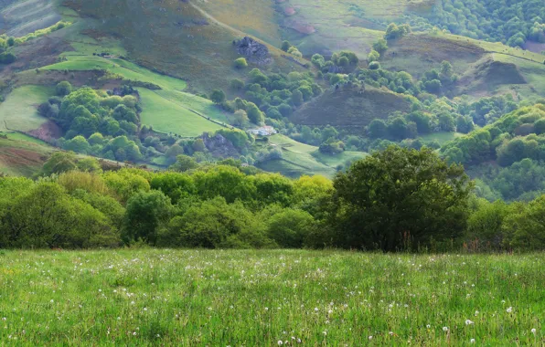 Picture the sun, trees, house, hills, Field, Mountains, Grass