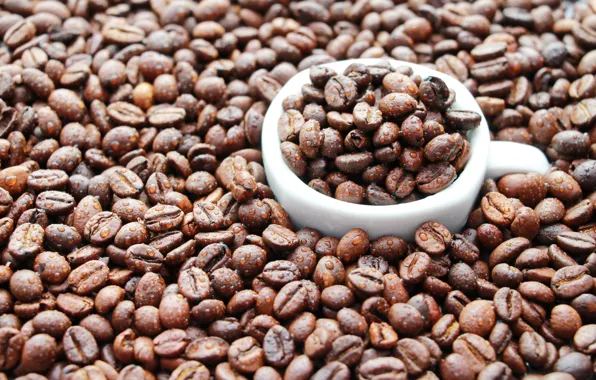 Picture mood, coffee, grain, mug, water drops, coffe, coffe time, Coffee bean