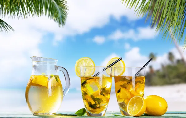 Picture ice, sea, summer, palm trees, lemon, lemonade
