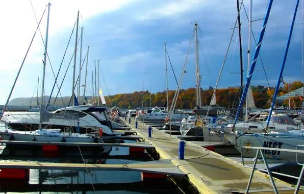 Sea, boats, harbor, shieep